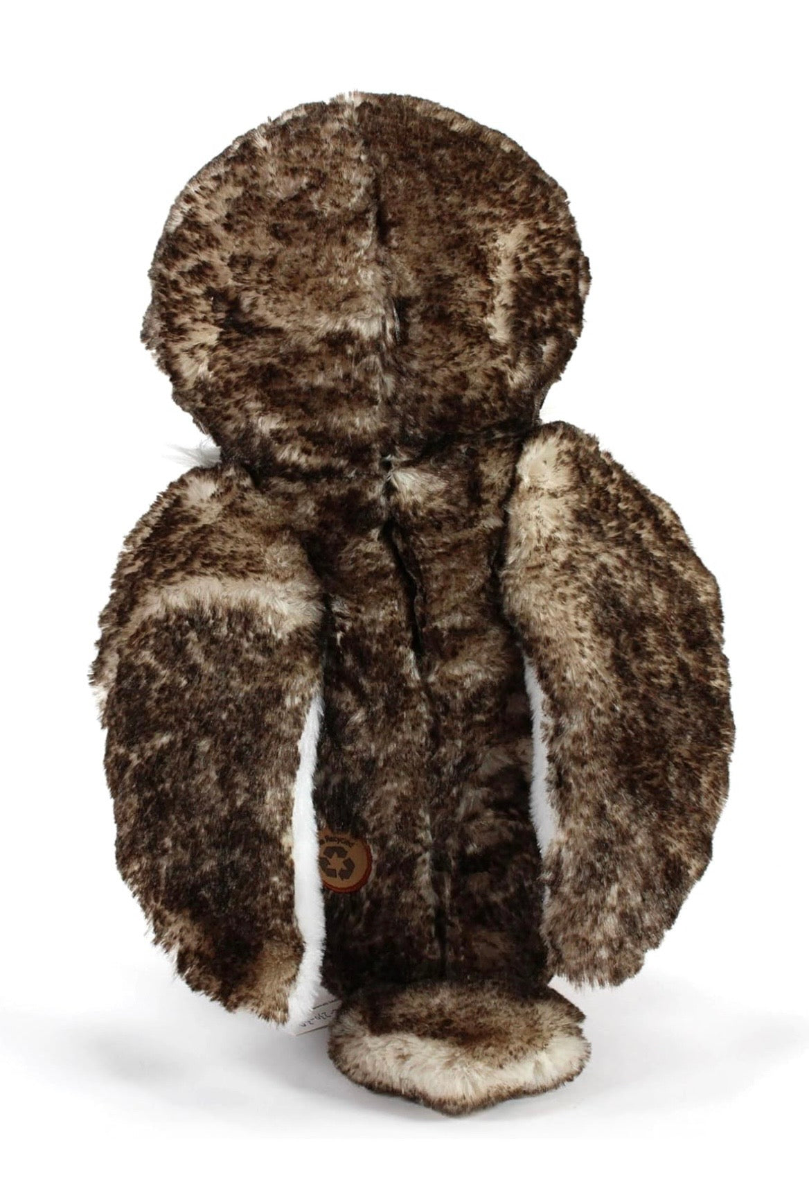 Lehman Sanctuary Barn Owl