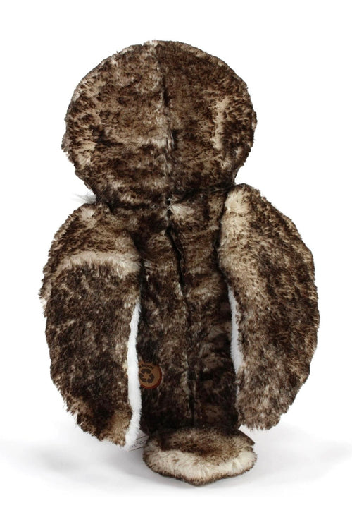 Lehman Sanctuary Barn Owl