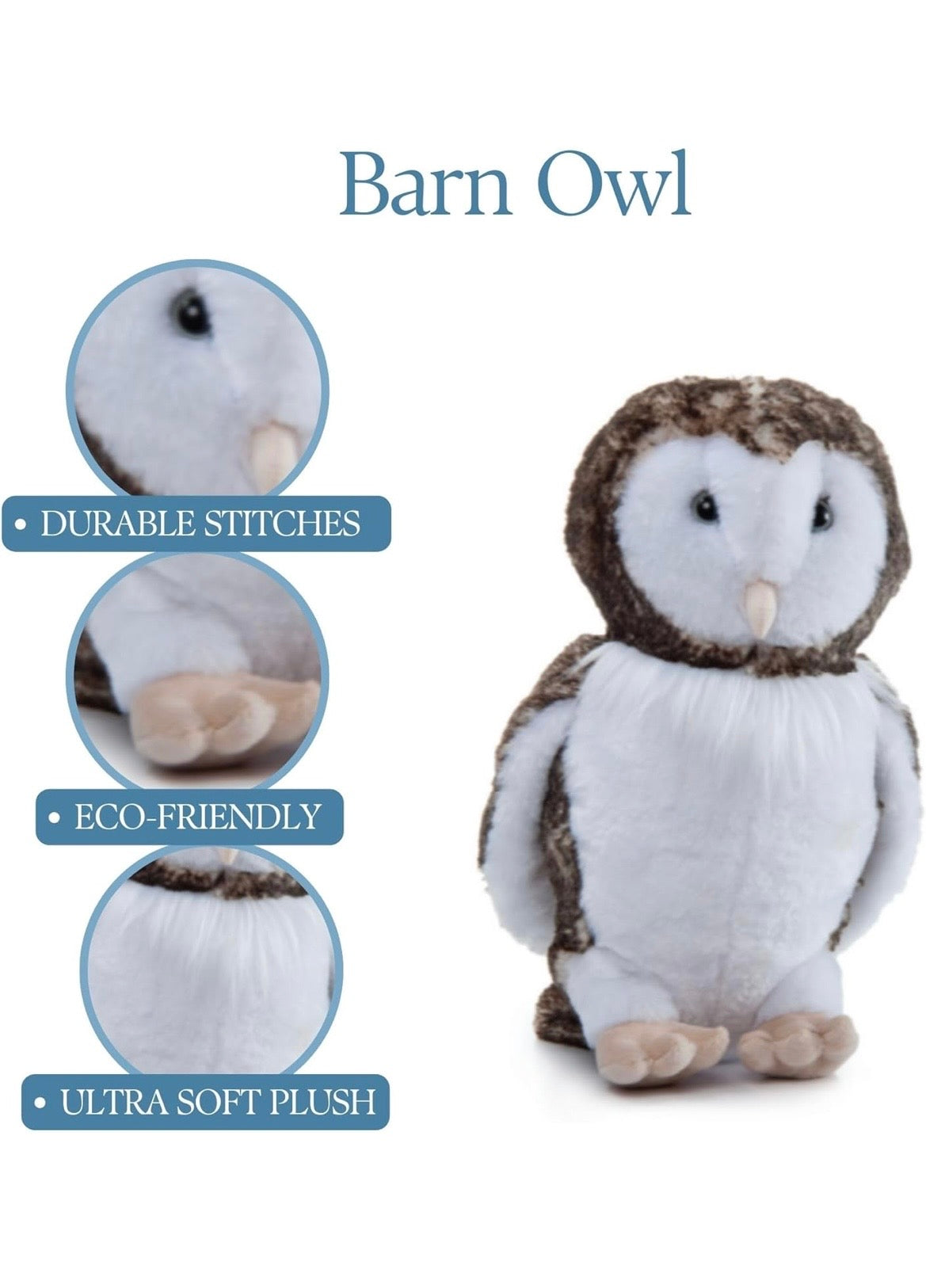 Lehman Sanctuary Barn Owl