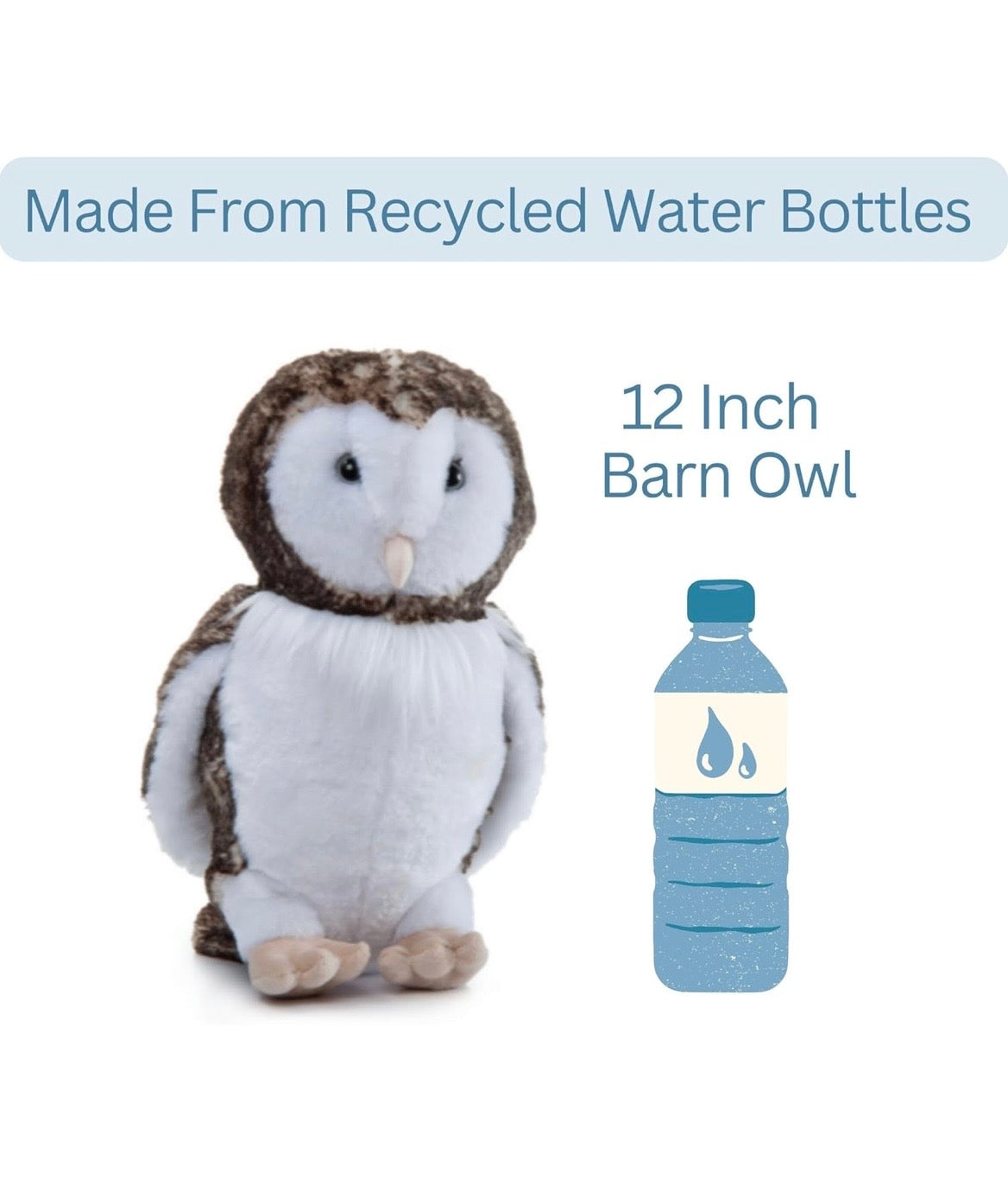 Lehman Sanctuary Barn Owl