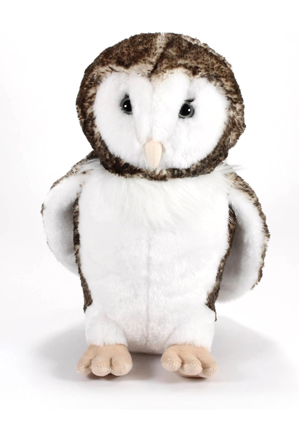 Lehman Sanctuary Barn Owl