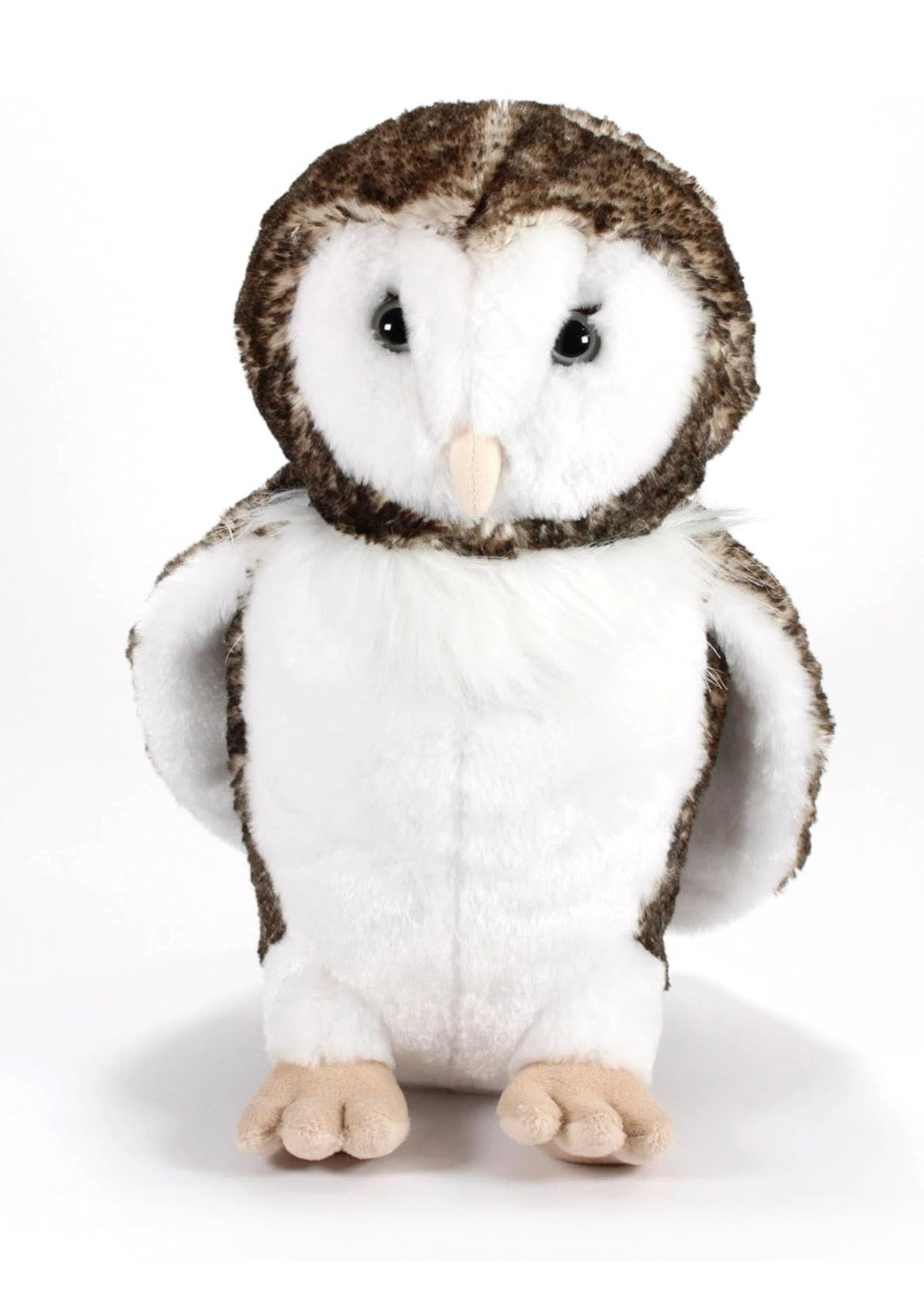 Lehman Sanctuary Barn Owl