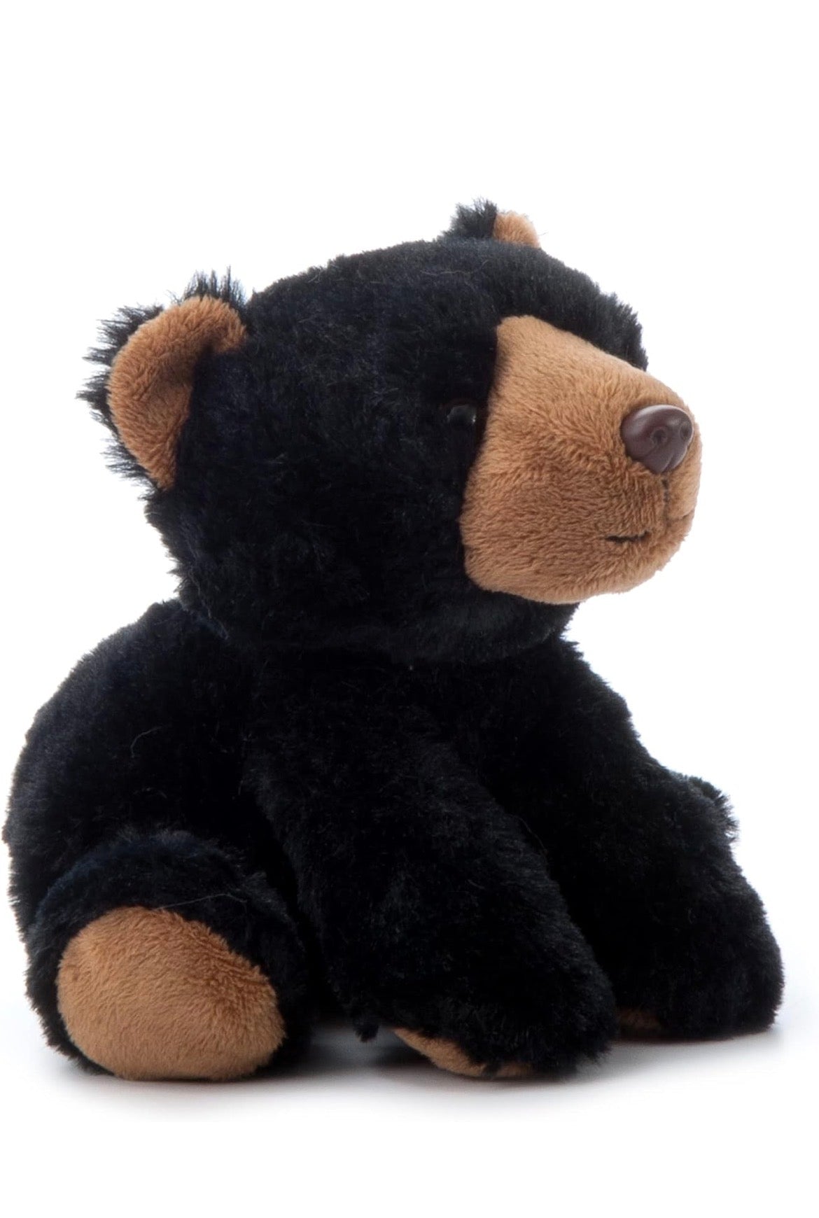 Lehman Sanctuary Black Bear