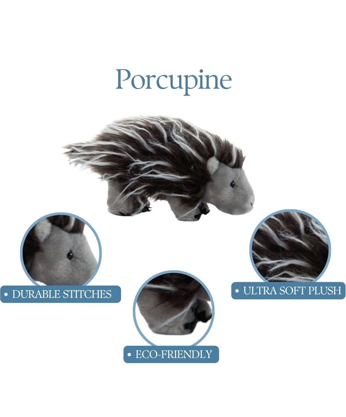 Lehman Sanctuary Porcupine
