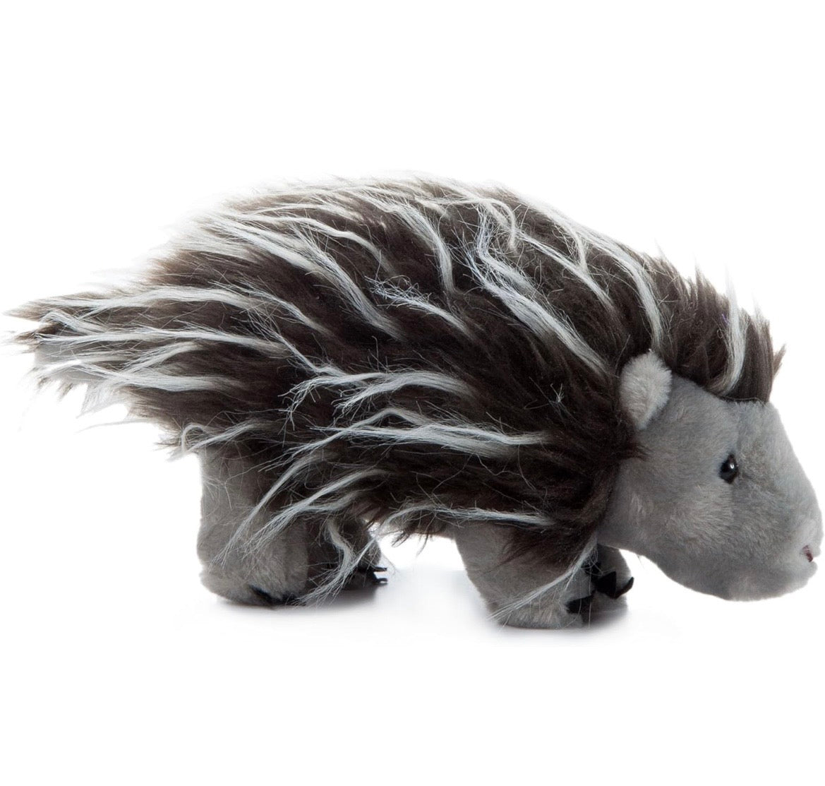 Lehman Sanctuary Porcupine