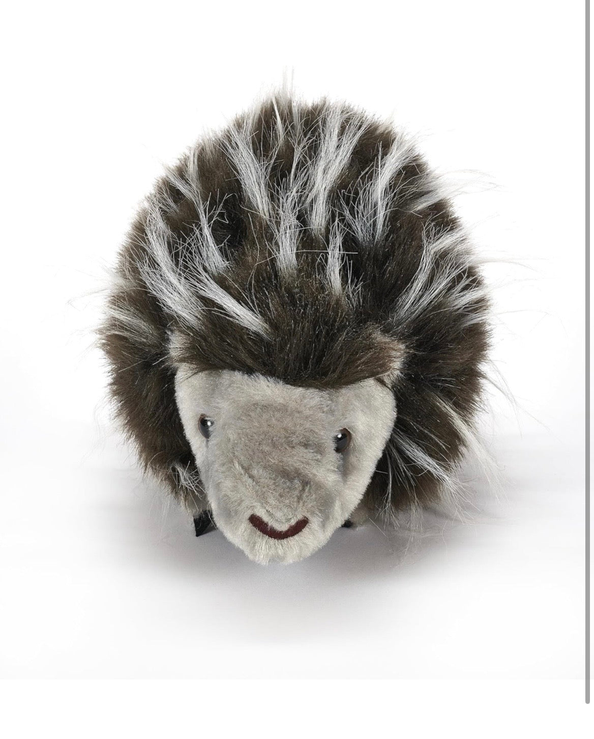 Lehman Sanctuary Porcupine