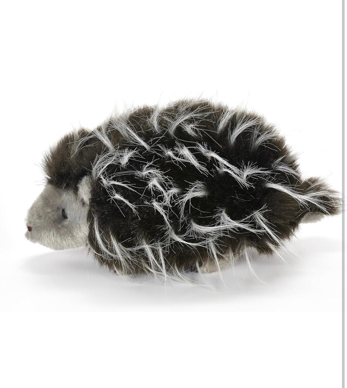 Lehman Sanctuary Porcupine