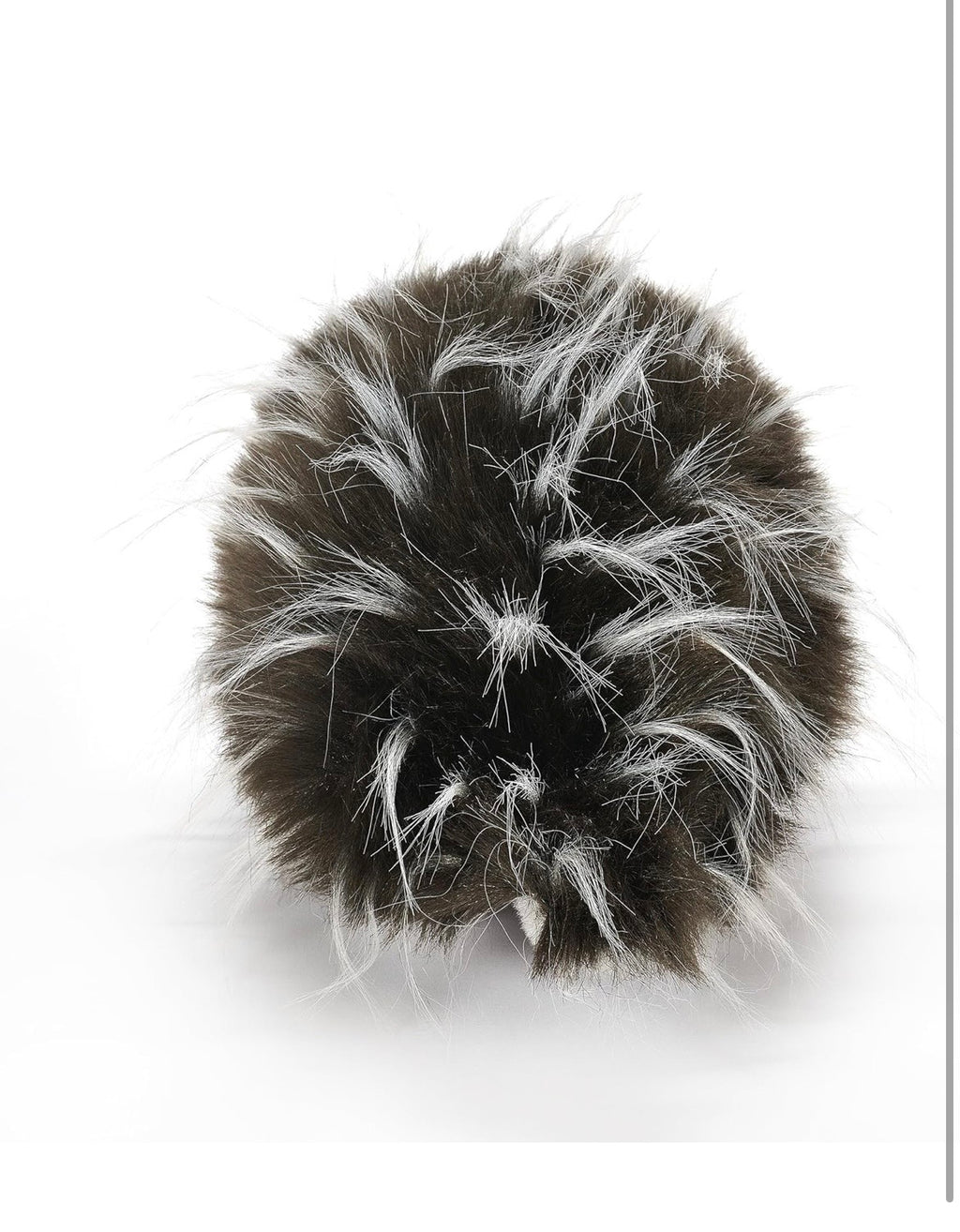 Lehman Sanctuary Porcupine