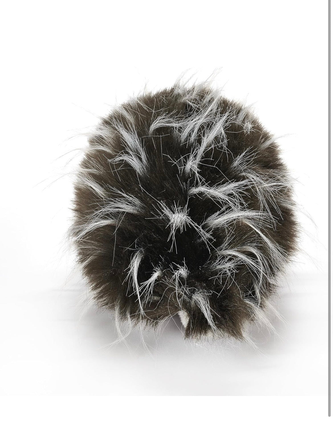 Lehman Sanctuary Porcupine