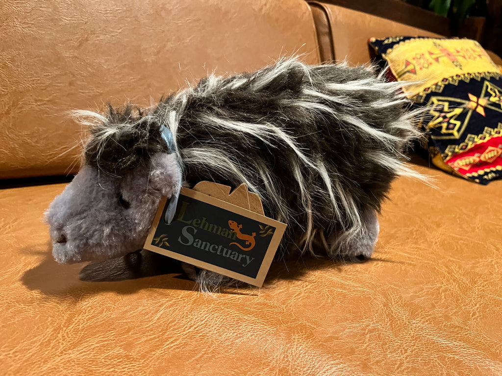 Lehman Sanctuary Porcupine