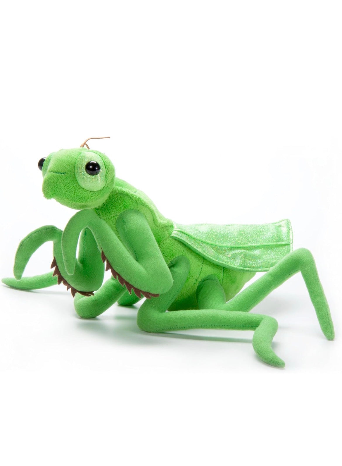 Lehman Sanctuary Praying Mantis 12"