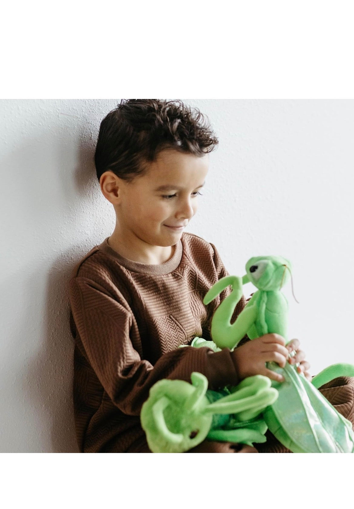 Lehman Sanctuary Praying Mantis 12"